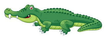 alligator